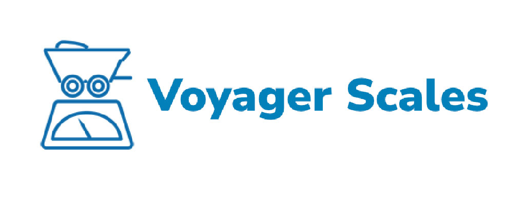 voyager scales agent Michaels Group